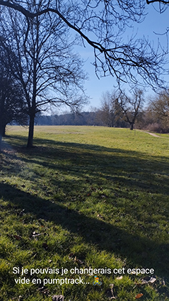 1 Creer une pumptrack dans le parc 