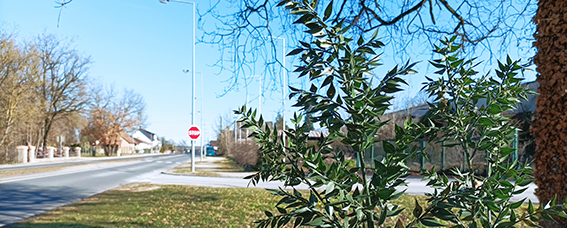 3 transformation de la friche industrielle Prevost en friche vegetale