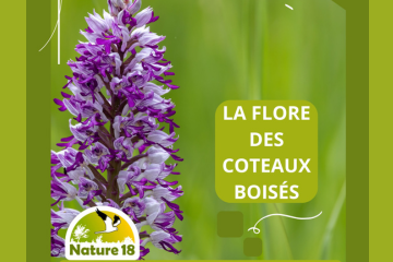 Pola réunion publique bio diversité