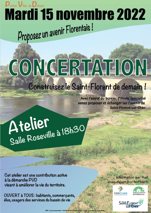 affiche concertation PVD